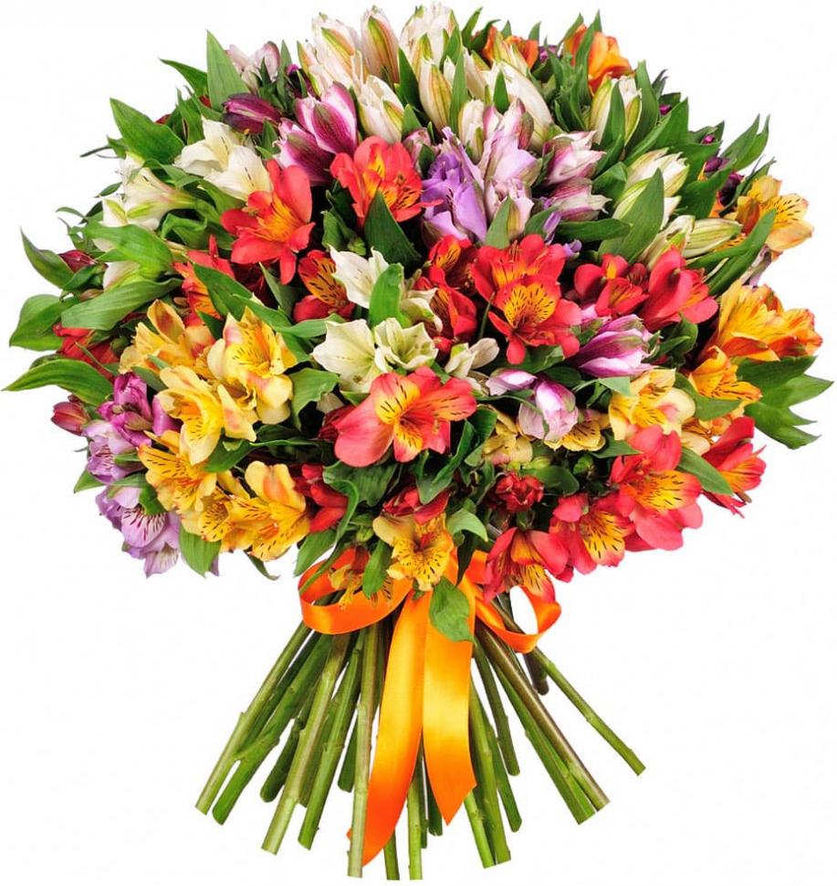 Альстромерии Микс № 1